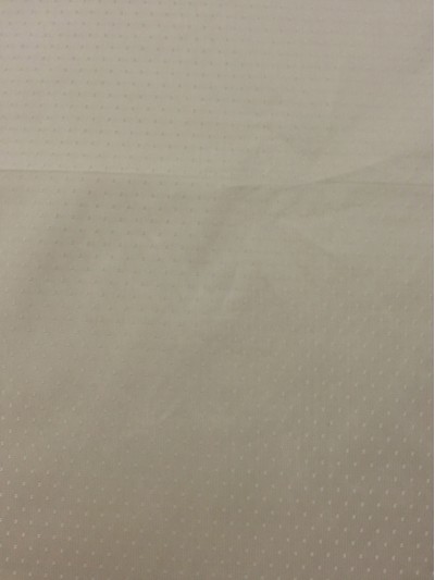 JS ZOYG  消光尼絲紡滿天星 正面照